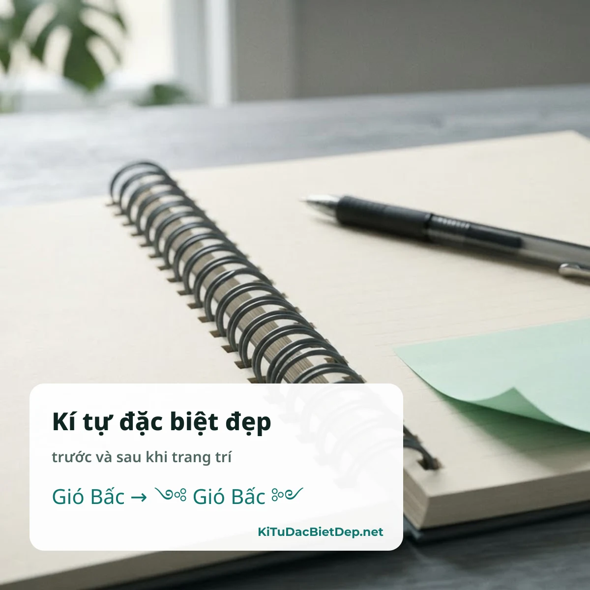 Kí tự đặc biệt đẹp: tên trước và sau khi trang trí